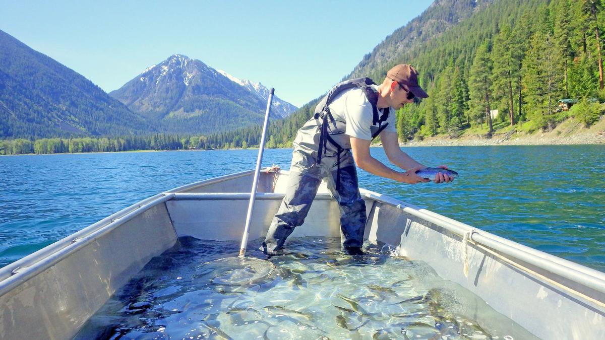 Two lakes, seven ponds on ODFW fish stocking schedule | Sports | wallowa.com