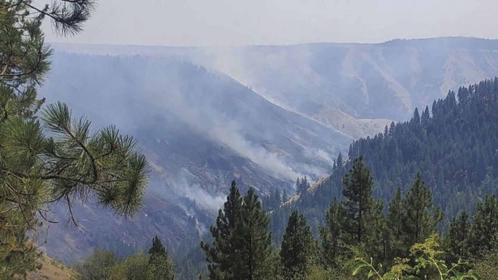 Cougar Creek Fire Crews Battle Lightning Strikes, Benefit From Cooler ...