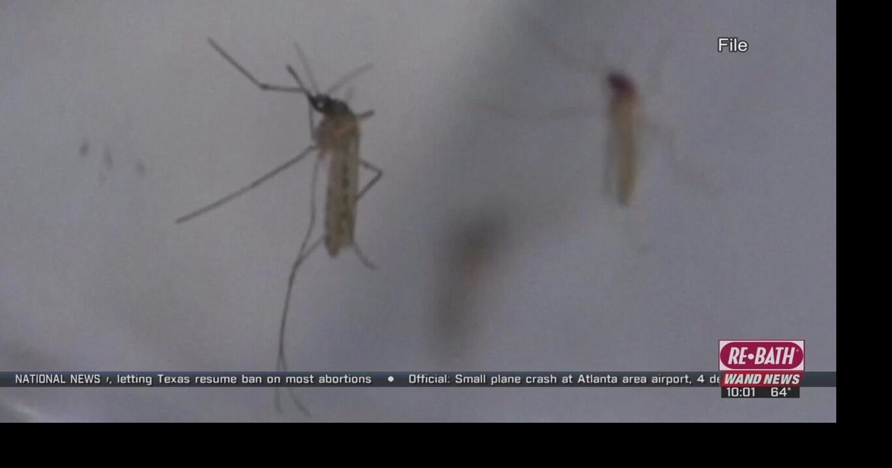 First human West Nile virus-related death reported in Illinois for 2021