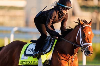Kentucky Derby Horse Racing