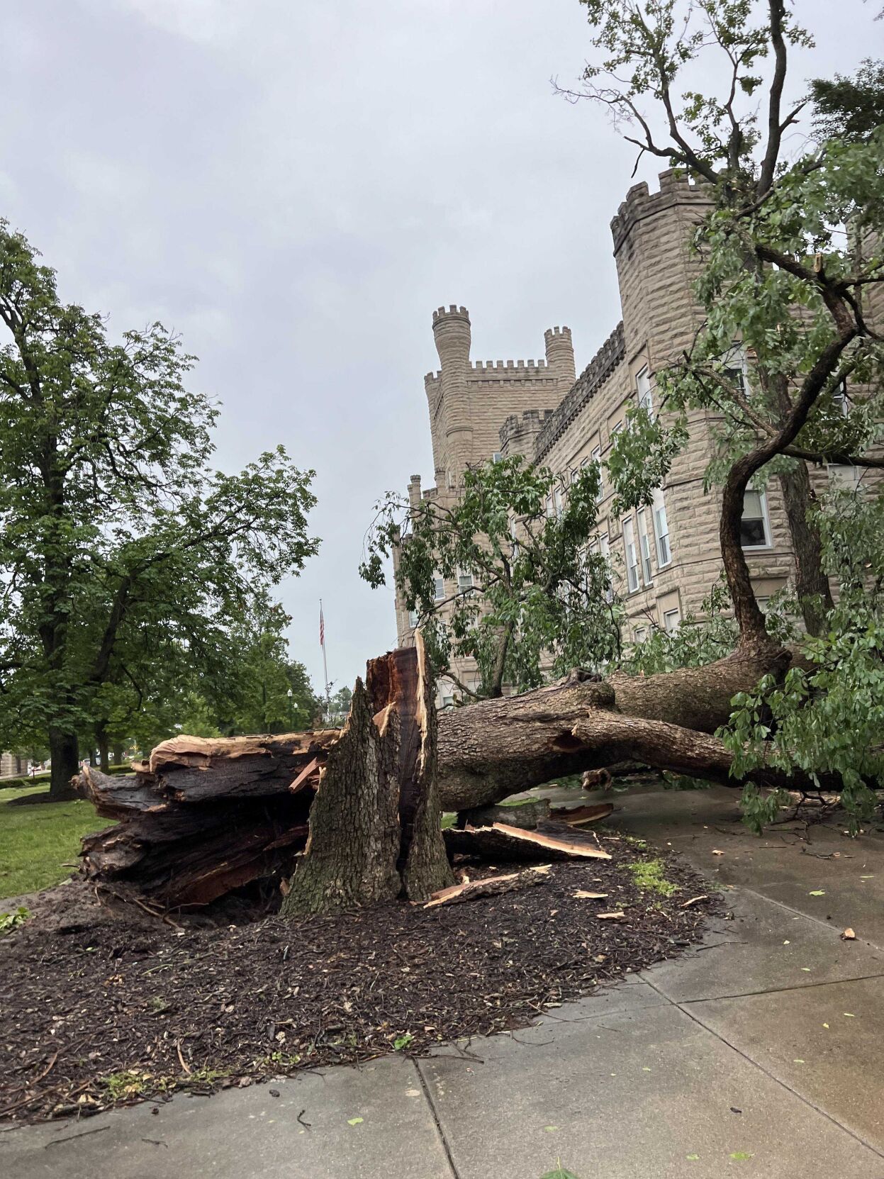 Severe Weather- EIU Campus