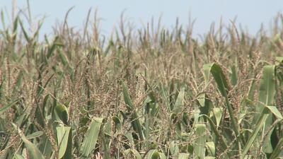 Officials talk fertilizer plant impact