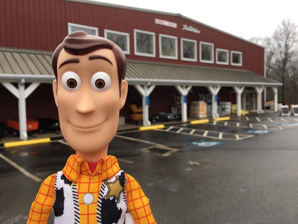 lost woody doll