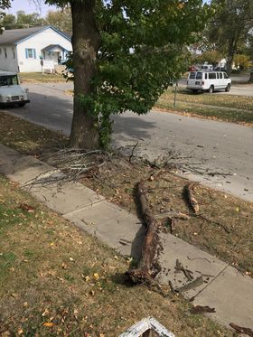 March 3 Storm Damage
