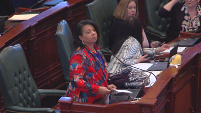 Rep. Rita Mayfield