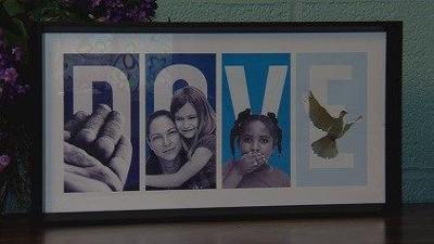 Dove Inc. Searching for Volunteers to Assist with Domestic Violence Program
