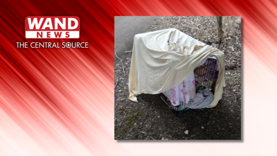 Springfield Dog Crate - 1