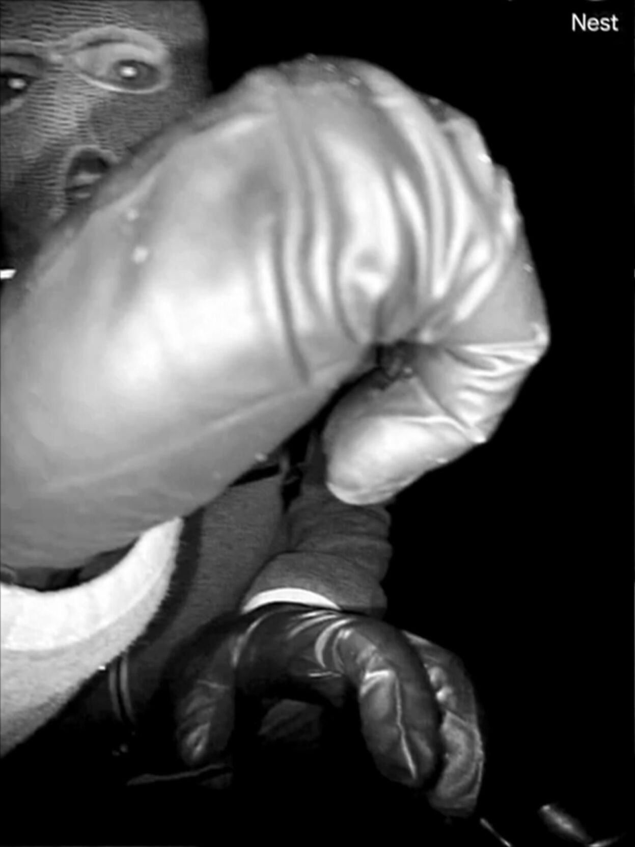 Photo of subject connected to Nancy Guthrie's disappearance