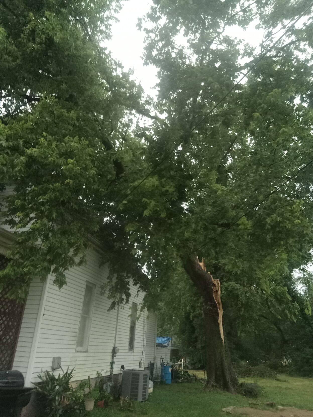 Severe Weather Marie Kite .jpg