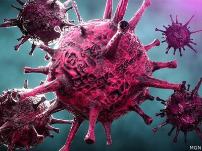 Cyclosporiasis outbreak graphic