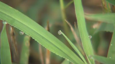 Researchers explore ways to raise water quality