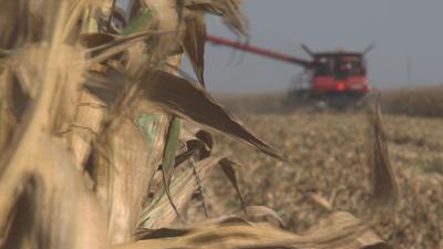 Farmers help friend in need