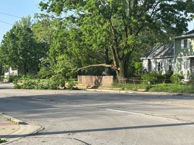 Tree branch down on northbound MLK and Cleveland