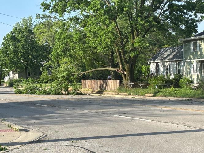 Tree branch down on northbound MLK and Cleveland