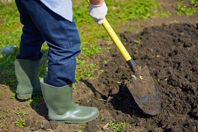 generic shovel
