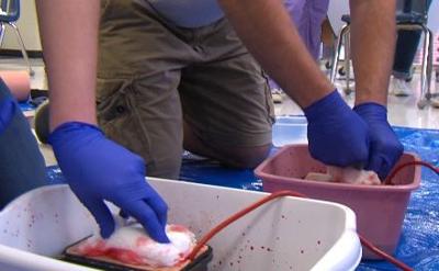 'Stop the Bleed' program looks to save lives