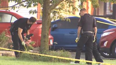 Couple, 2 children and 3 dogs found shot to death in suburban Chicago home