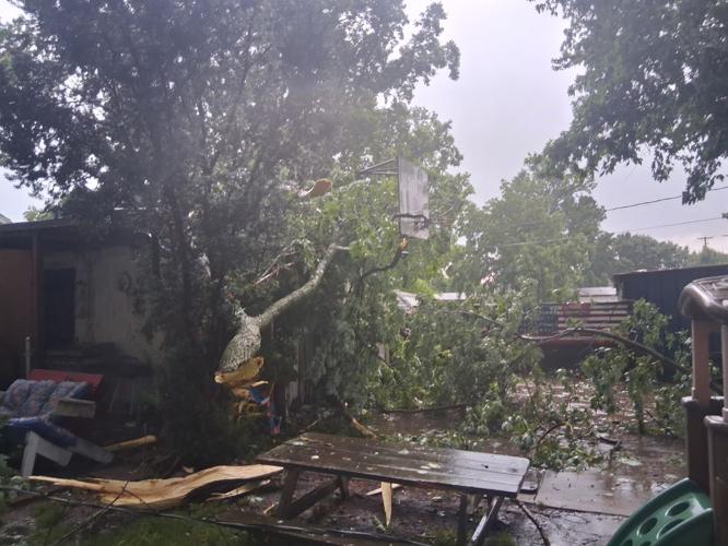 charleston damage