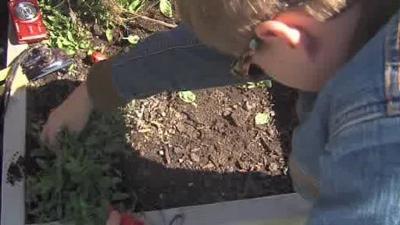 U of I Extension, DMCSC offering small space gardening program