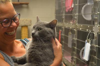 17 pets find furever homes in Clear the Shelter event