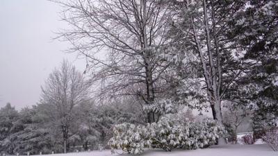 still-view-of-a-pretty-snowfall-at-the-park-SBI-351538065.jpg