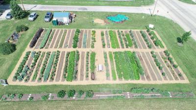 Fit-2-Serve community garden