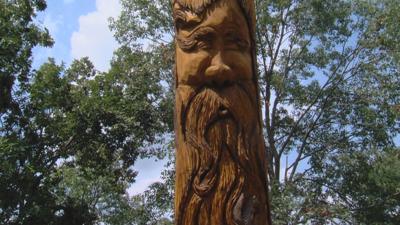 Urbana Park District completes tree sculpture to preserve urban wildlife
