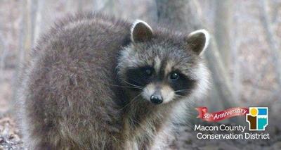 Macon Co. Conservation hosting backyard wildlife event