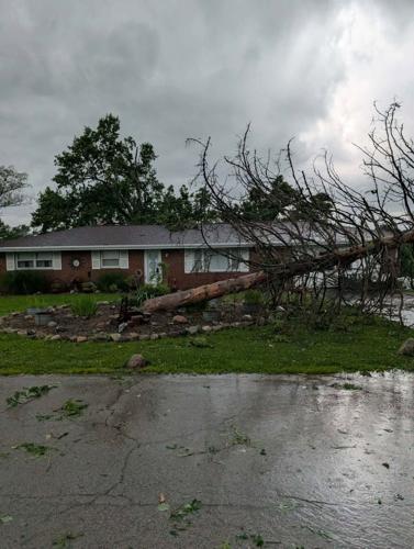charleston damage