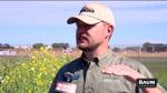 Agribusiness Today: Adoption of cover crops continues to grow