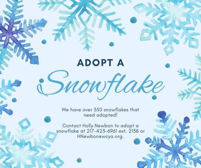 Webster Cantrell Snowflake