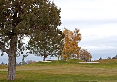 sports-desert-golf-course-SBI-300275299.jpg
