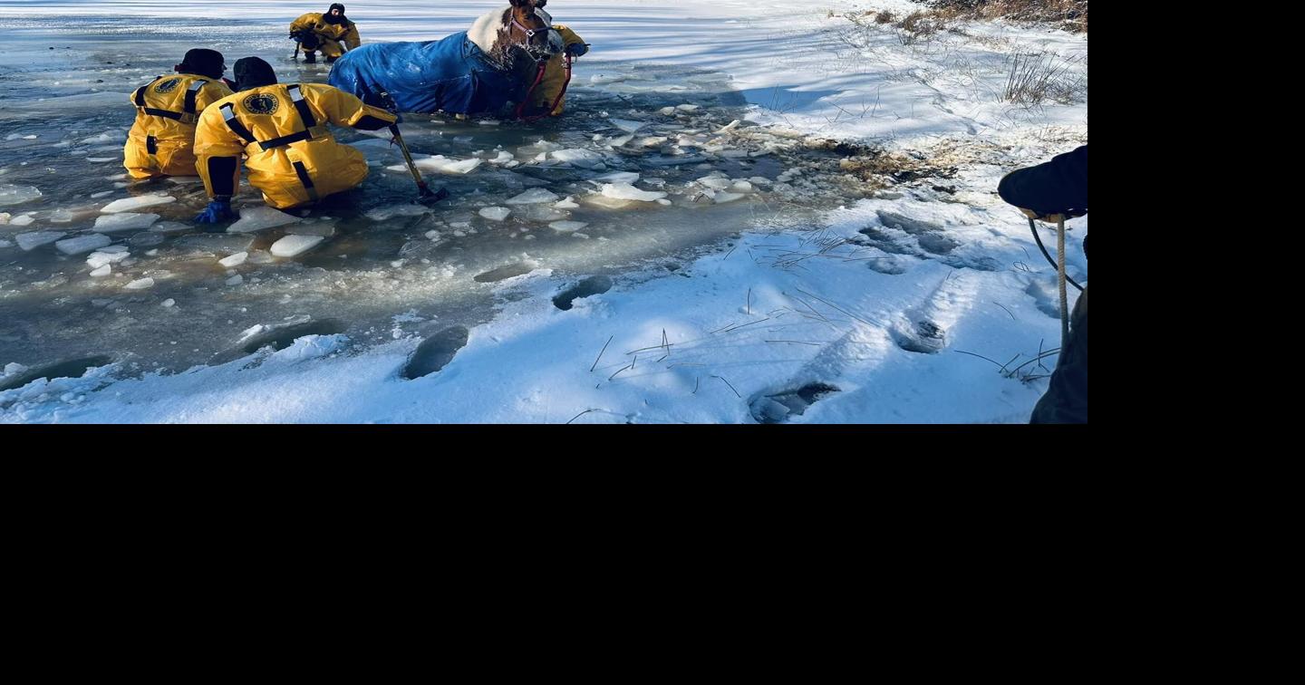 Horses rescued from icy pond in Missouri