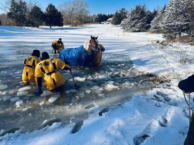 Horses rescued from frozen pond