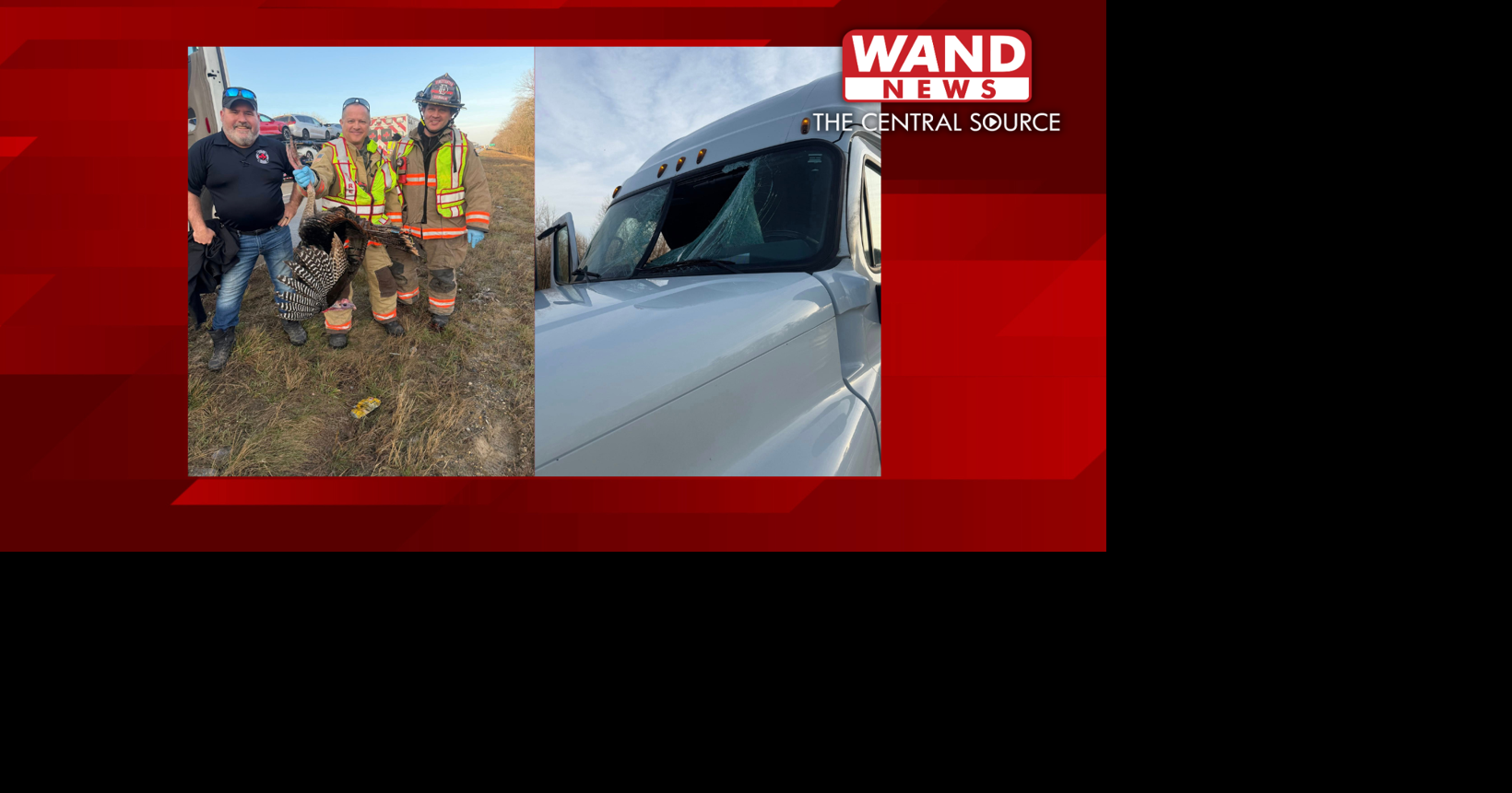 Driver hurt after wild turkey crashes through semi's windshield