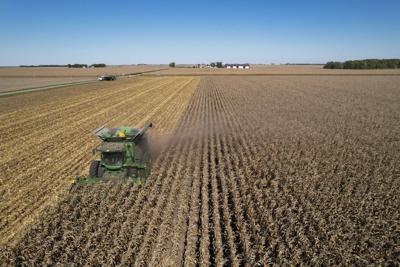 Illinois corn