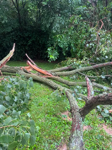 South Shores Storm damage 6.17.26