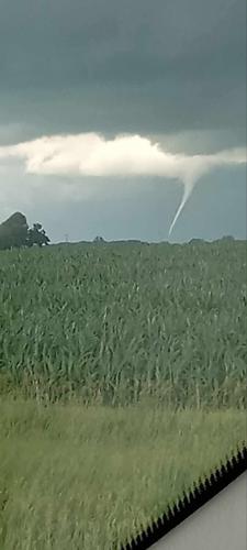 adam - new berlin.jpg