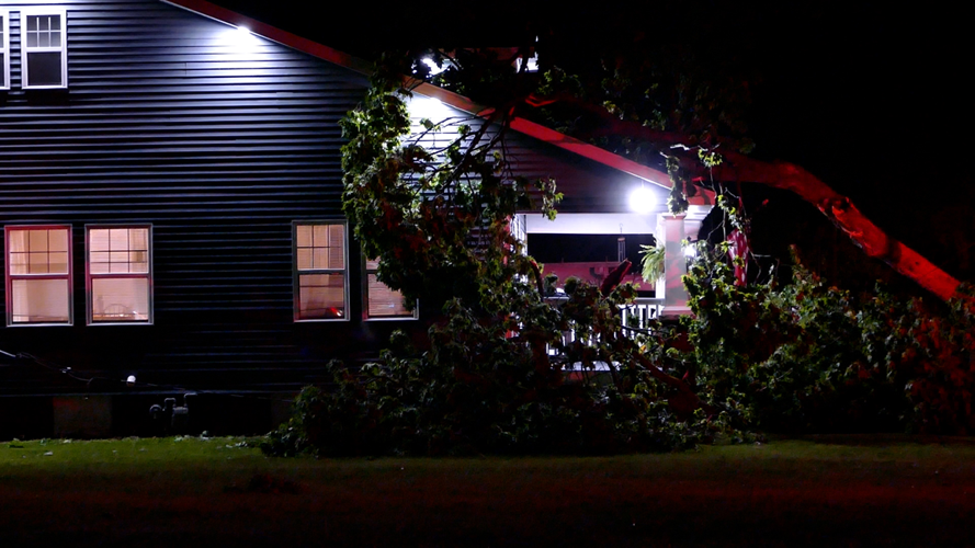 Cerro Gordo tree vs house Jefferson St.png
