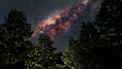 trees-and-milky-way-stars-at-night-elements-of-this-image-furnished-by-nasa-SBI-349584178.jpg