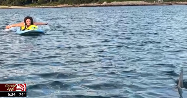 Paddle boarder spots shark in Massachusetts