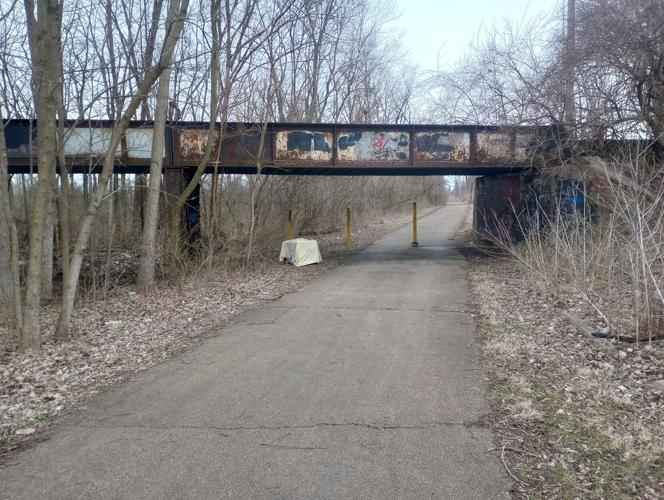 Springfield Dog Crate - 2