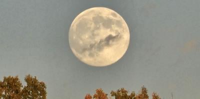 beavermoon.JPG