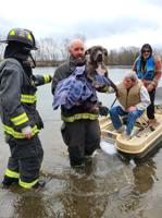 Animal rescued from frozen lake