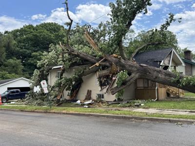 Fallen Tree on House