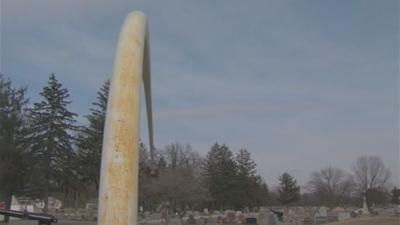 Fate of Taylorville flag pole in hands of city council