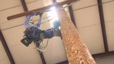 Ameren Training