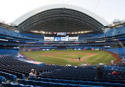 blue jays.jpeg