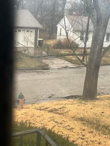 March 3 Storm Damage