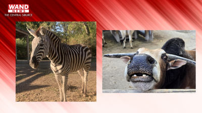 Fluffy and Eli (Scovill Zoo)